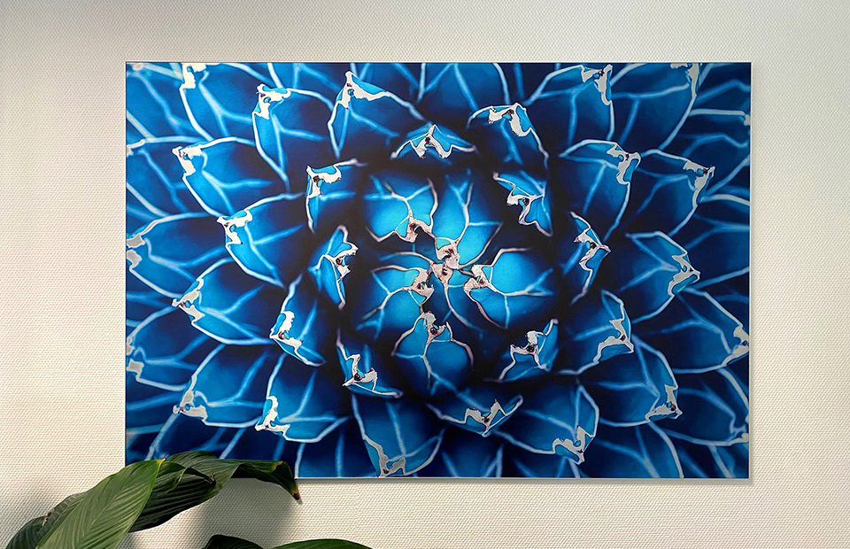 Werbehaug DIBOND Butlerfinish silber 4C-Digitaldruck auf DIBOND Butlerfinish bedrucktes Dibond Butlerfinish